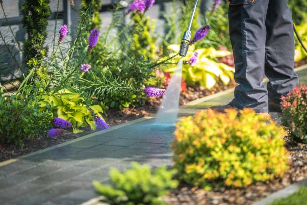 Best Driveway Pressure Washing  in Carter Lake, IA